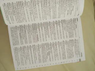 Diccionario Manual Griego. Griego clásico-Españ...