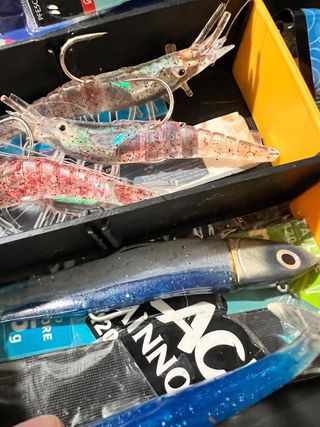 Caja de pesca con gran variedad de señuelos