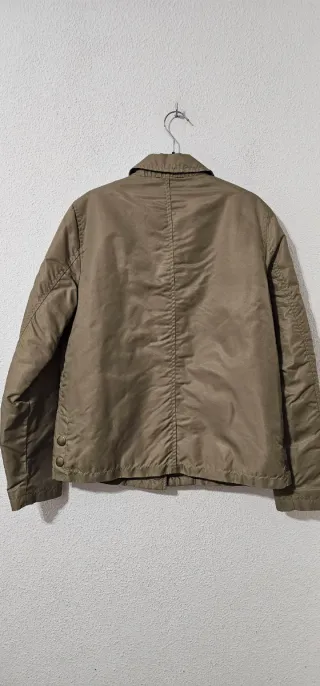 Cazadora  Thomas  Burberry 