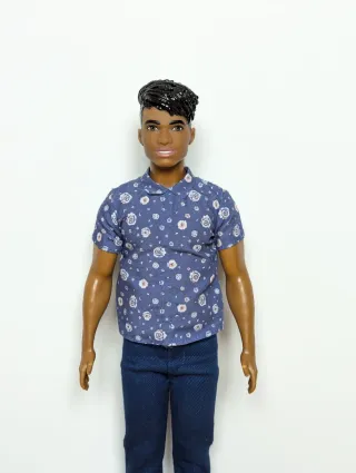 Muñeco Ken Barbie Fashionista 114