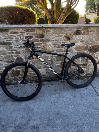 Bicicleta Specialized MTB 29