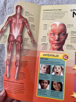 El increíble cuerpo humano: Un viaje interactiv...