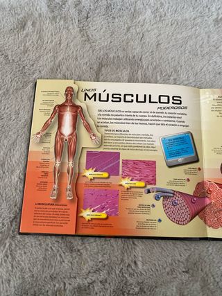 El increíble cuerpo humano: Un viaje interactiv...