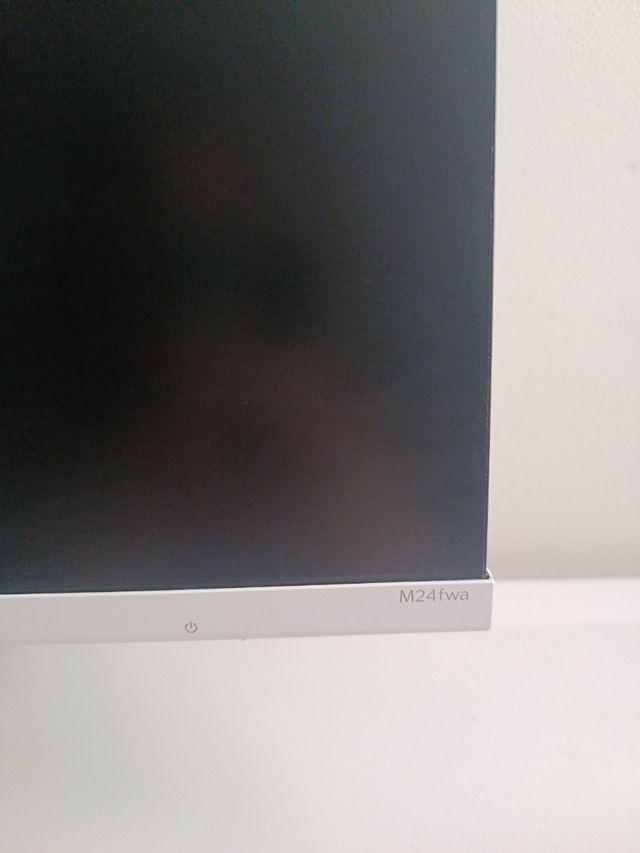 Pantalla HP Plata y Negra