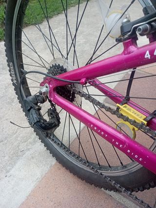 Bicicleta de Montaña Rosa