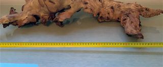 Raíz natural para acuario