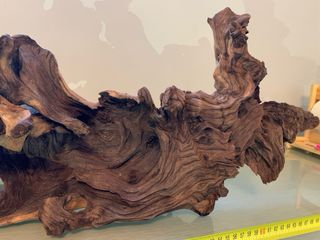 Raíz natural para acuario