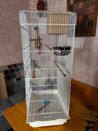 Jaula alta para pájaros