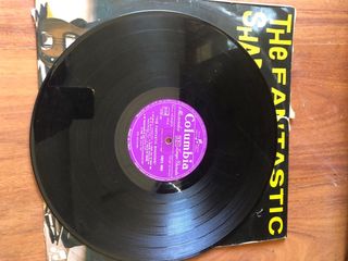 Vinile The Fantastic Shadows