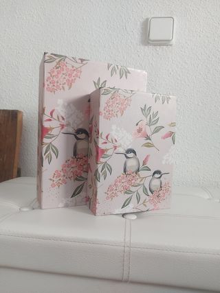 Cajas de Almacenamiento Decorativas