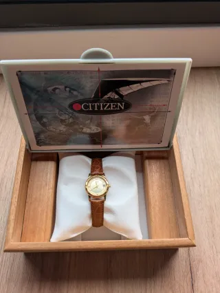 Reloj Citizen Dorado y Marrón modelo 1012-S022703 