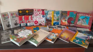 Lote 24 libros infantiles /juveniles en Catalán. 