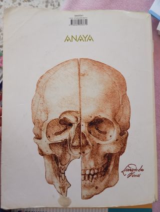 Anatomía Aplicada.