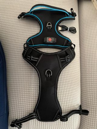 Arnés para perro con luces LED, talla XS