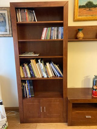 últimos díaLibrería Castaño con Puertas y Estantes