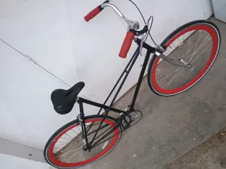Bicicleta Paseo única
