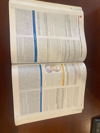 Historia de la Filosofía 2