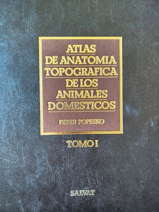 Atlas Anatomía Topográfica Animales Domésticos