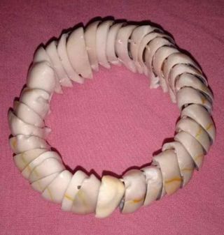 Pulsera elástica de conchas