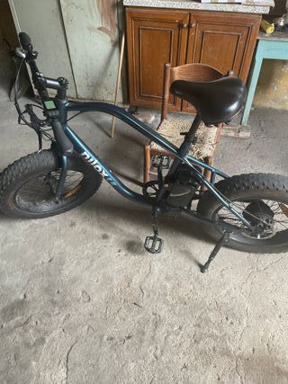 Bici Elettrica Fat Bike