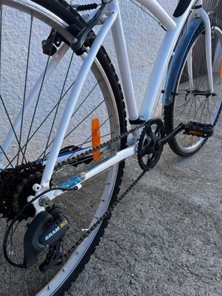 Bicicleta de paseo