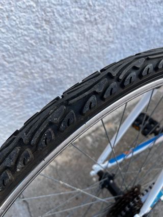Bicicleta de paseo