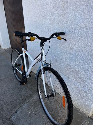 Bicicleta de paseo