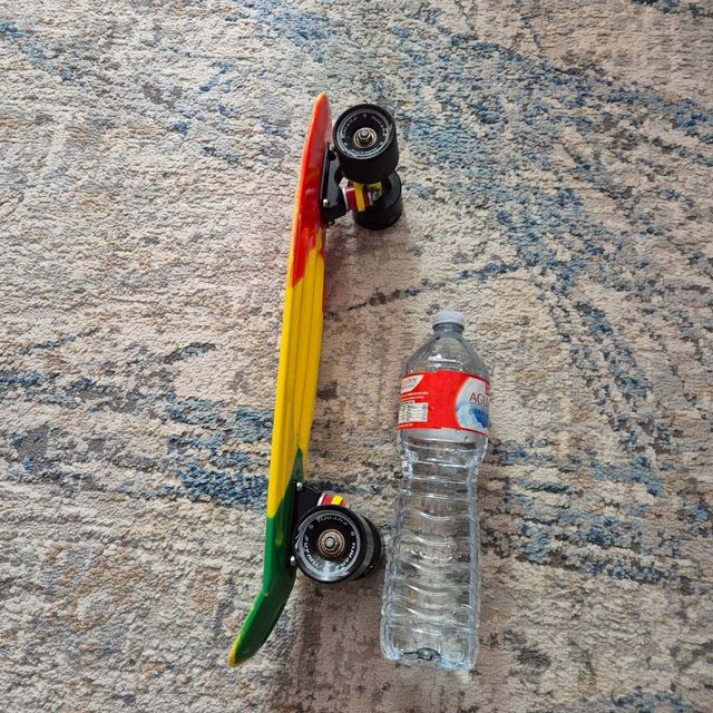 Skate clásico multicolor