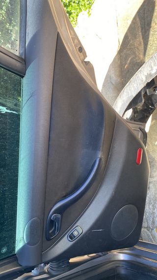 Paneles Puertas León Mk1
