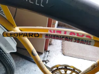 Bicicleta BMX Graciela Leopard MXS