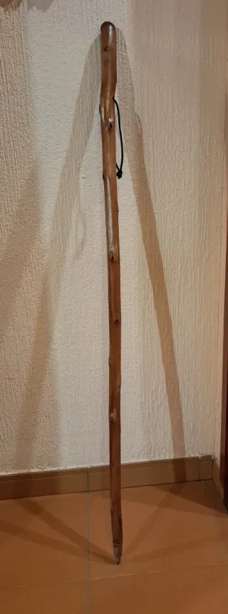 Baston madera avellano punta hierro