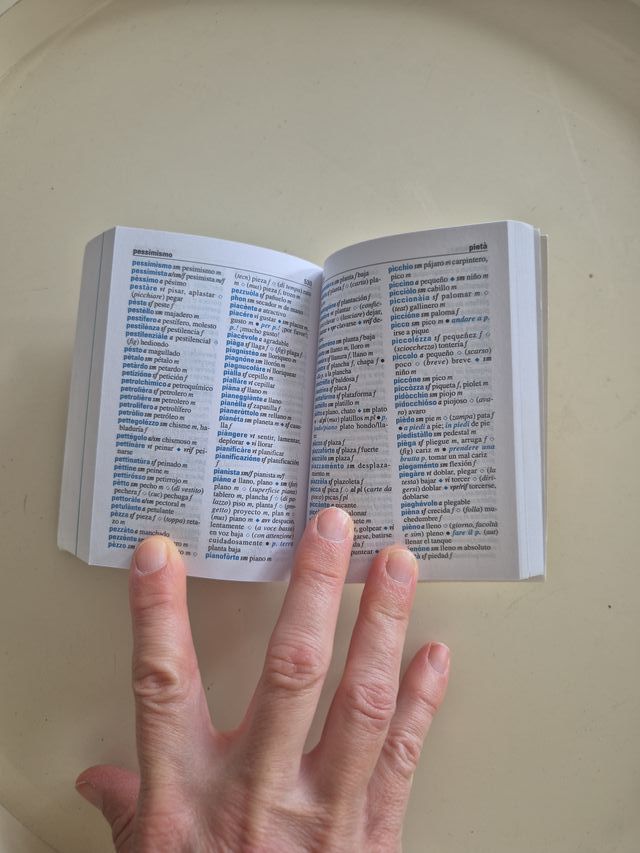 Il mini di spagnolo. Dizionario spagnolo-italia...