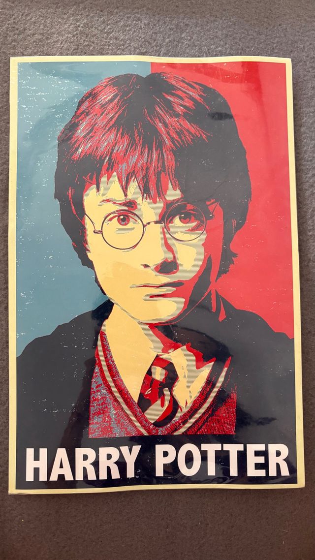 Lámina Harry Potter