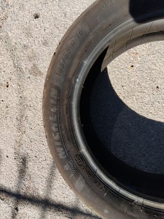 Neumático Michelin 195/55 R 16 87H