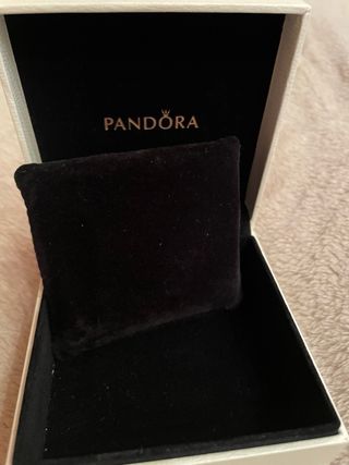 Scatola Pandora con cuscinetto