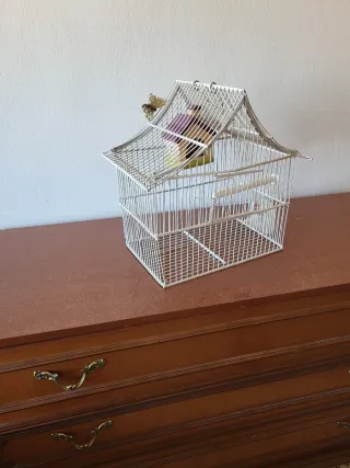 Jaula para pájaros blanca con casita