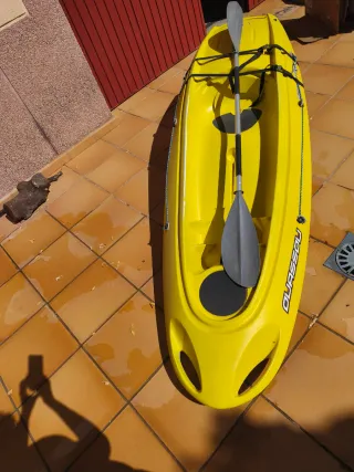 Kayak de mar con pala y carro de transporte