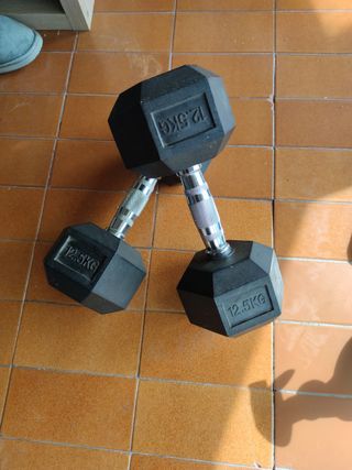 Mancuernas 12.5KG (Par)