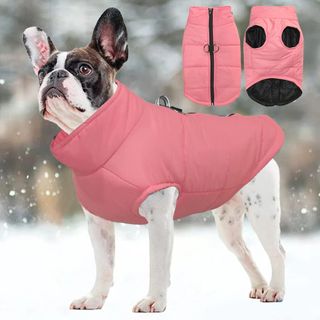 ✨ - Cappotto impermeabile invernale FeiMax per cani