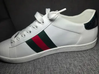 Zapatillas gucci OFERTA SOLO HOY!!