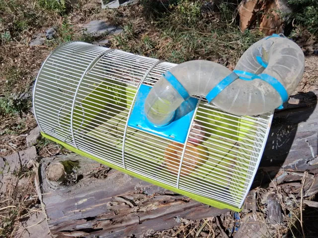 Jaula Hamster/Ratón/Cobaya