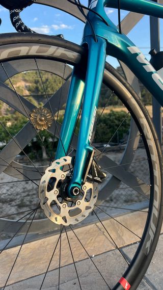 Bicicleta Massi Team Disc Carbono