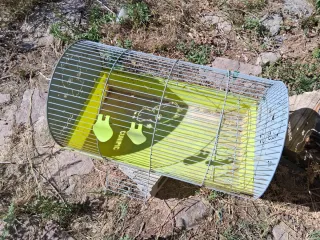 Jaula conejos/cobayas con separador heno