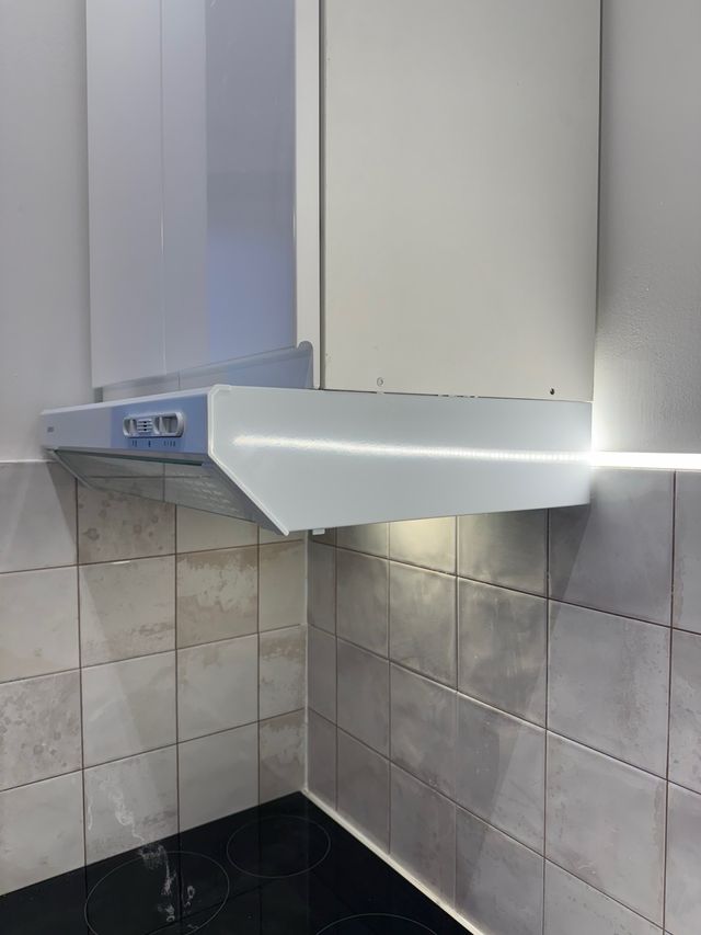 Campana extractora de carbono