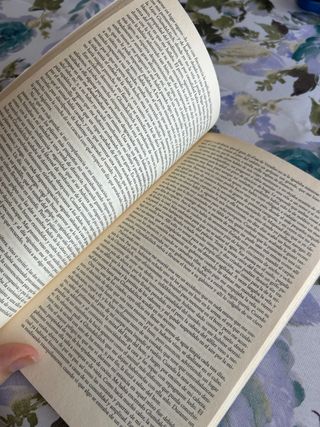 LOS VIAJES DE GULLIVER