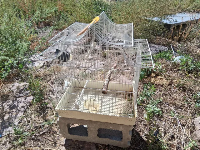 Jaula para pájaros periquito canario