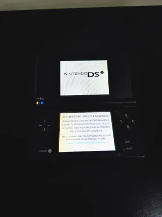 Nintendo DSi Nero Caricatore Pennino