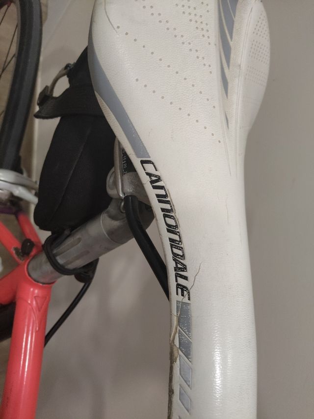 Bicicleta Clásica Razesa Talla 51