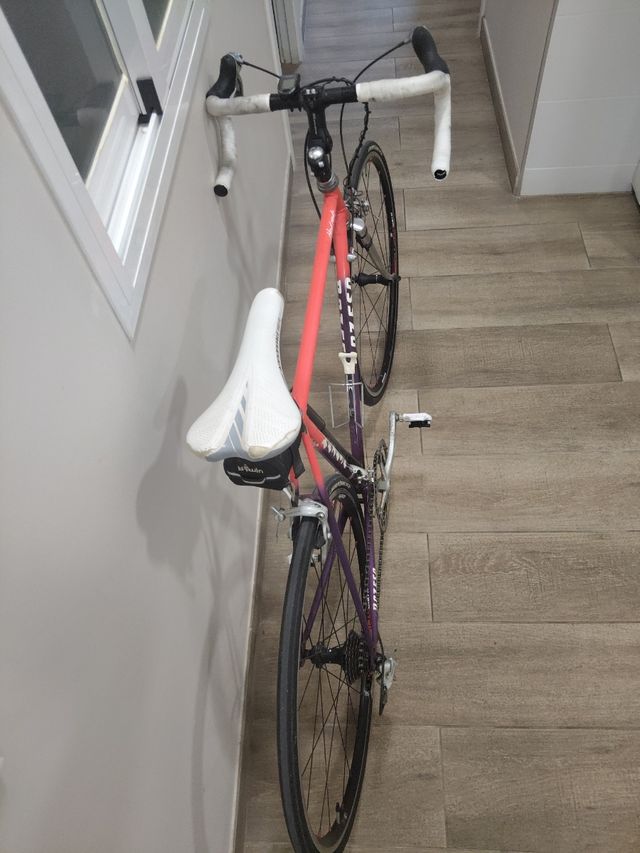 Bicicleta Clásica Razesa Talla 51