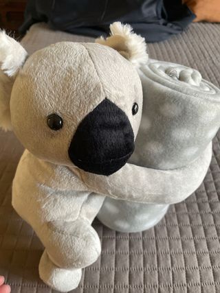 Peluche Koala con Plaid Grigio